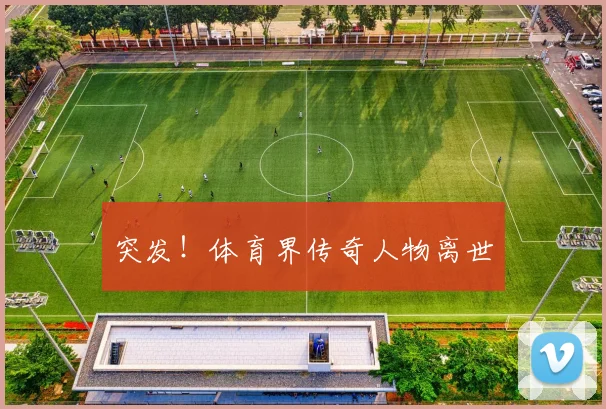 突发!体育界传奇人物离世