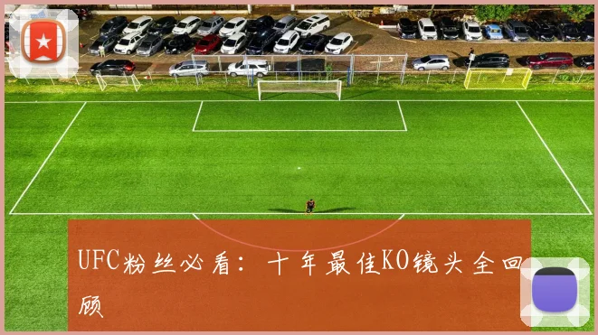 UFC粉丝必看:十年最佳KO镜头全回顾