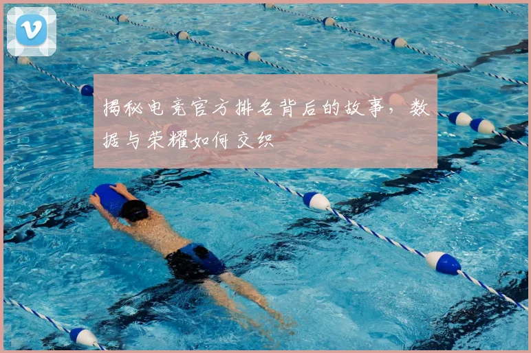 揭秘电竞官方排名背后的故事,数据与荣耀如何交织