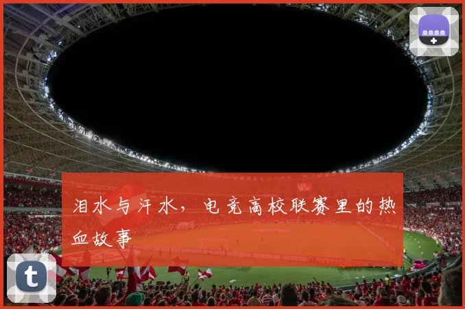 泪水与汗水,电竞高校联赛里的热血故事