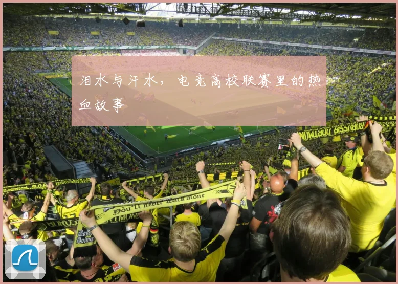 泪水与汗水,电竞高校联赛里的热血故事